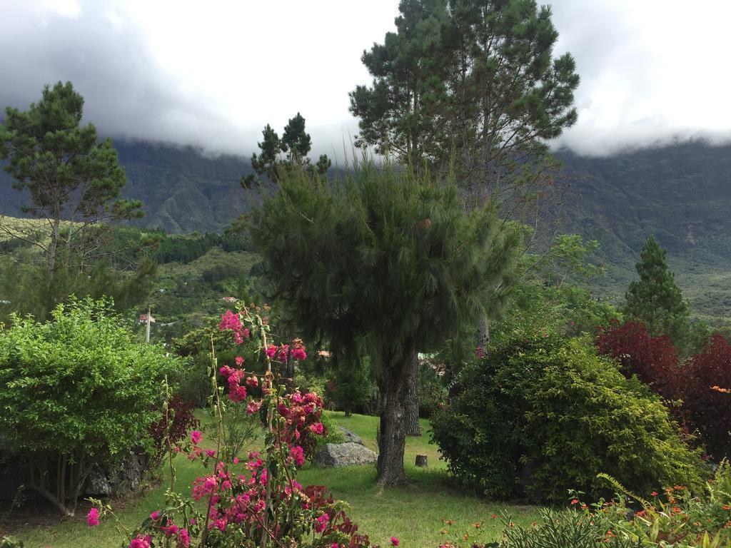 Le Platane Villa Cilaos Kültér fotó